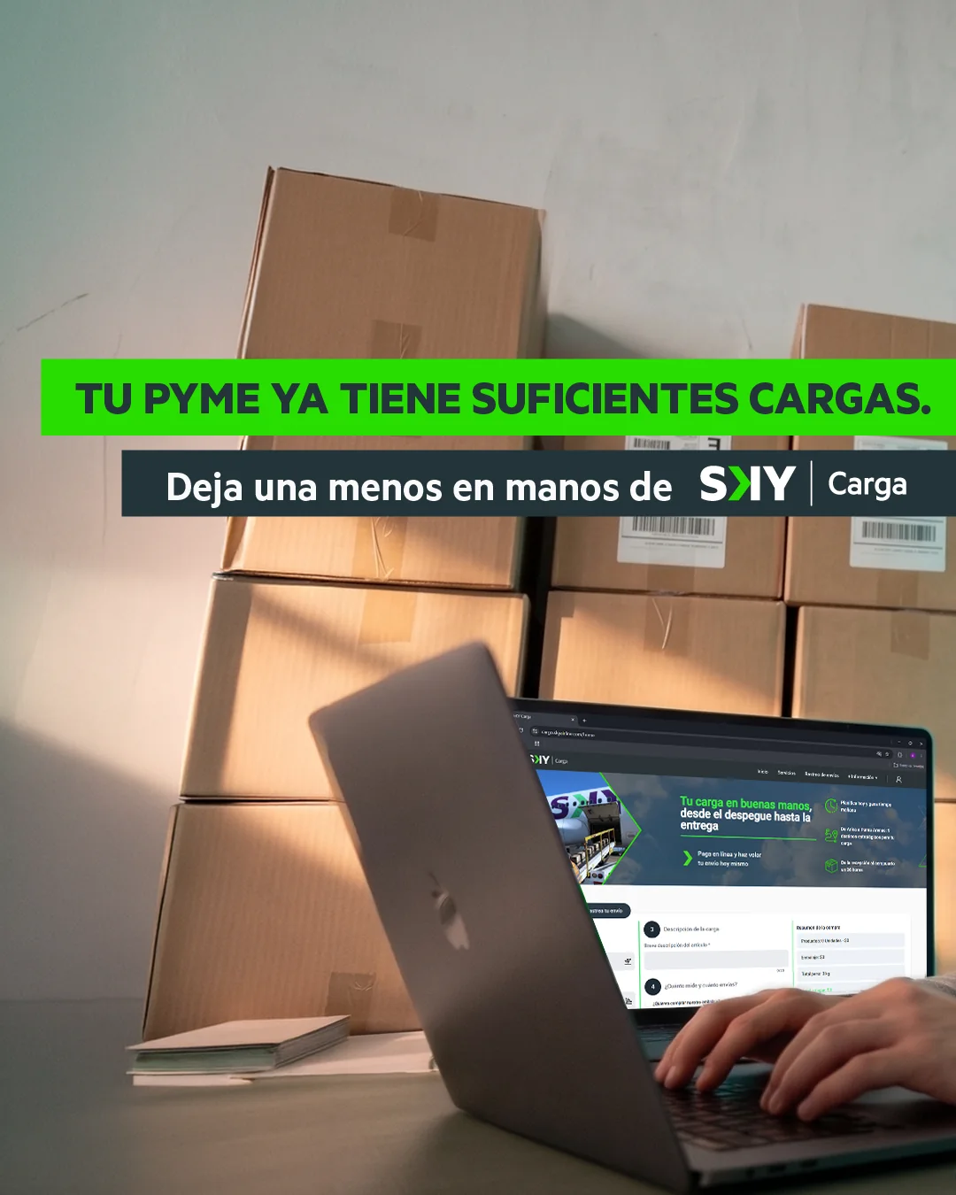 SKY Carga carousel: one less load for your business
